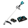 Line Trimmer 5Ah Kit Loop Handle 18 Volt x 2