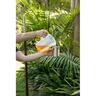 Classic Citronella Oil