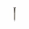 Connector Nail 3.75 x 38mm Stainless Steel