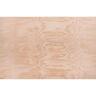Structural Plywood BD Untreated 2400 x 1200 x 12mm Natural