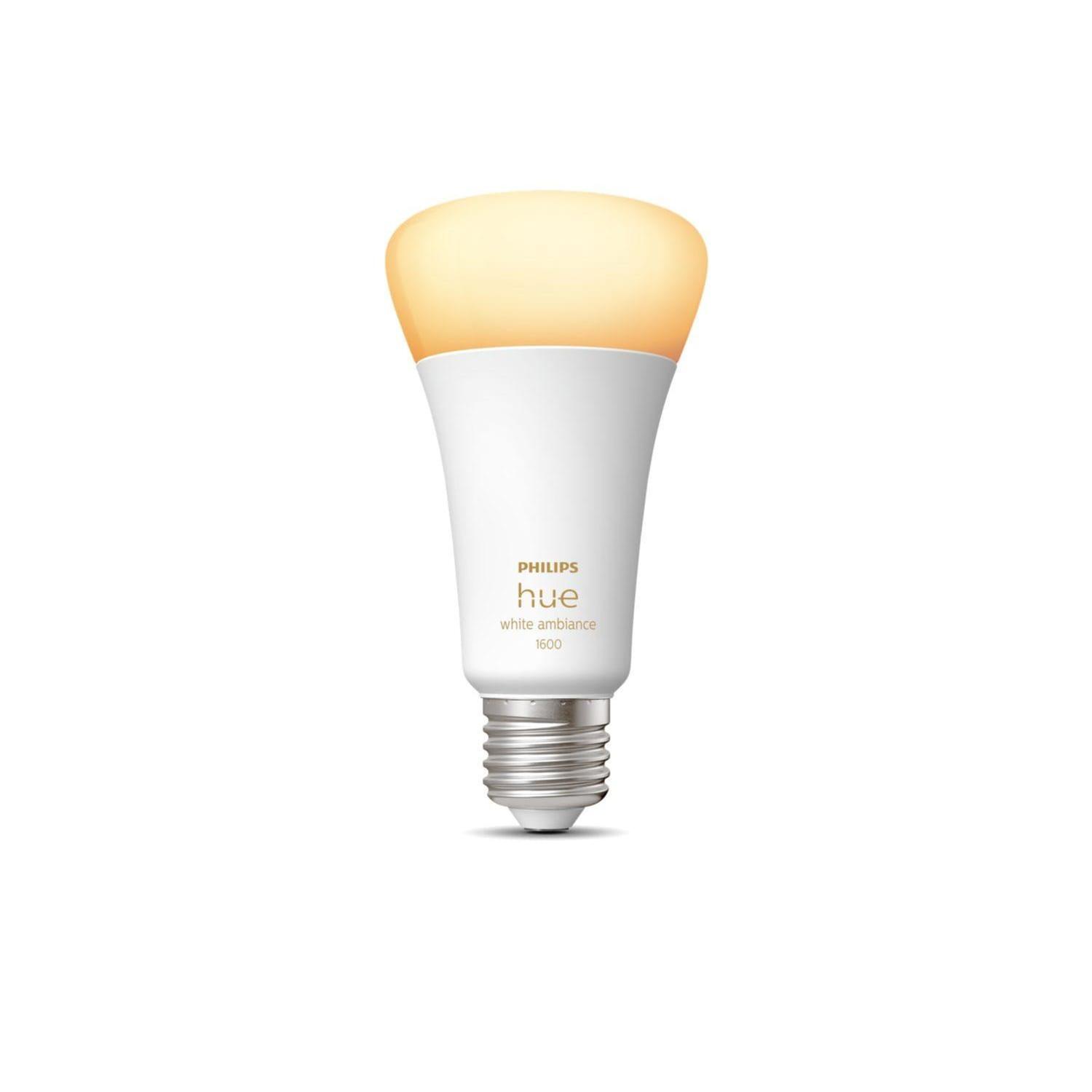 E27 Light Bulb