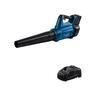 Blue Professional BITURBO Leaf Blower Kit 18 Volt
