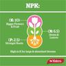 Rose & Flower Fertiliser Granules