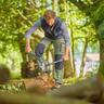 Pruning Lopper EnergyCut Small