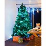 Low Voltage 1000 LED String Lights