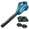 Cordless Blower Kit 18 Volt x 2, 5Ah 193km/h