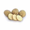 Moonlight Seed Potatoes