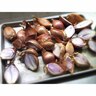 Shallot French Red