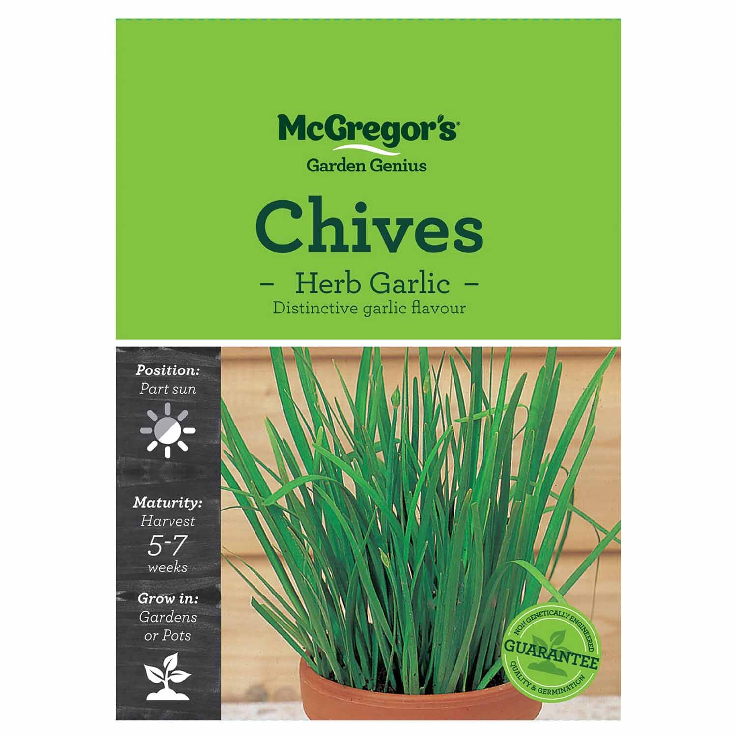 Garlic Chives  Herb Seed