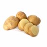 Haylo Seed Potatoes