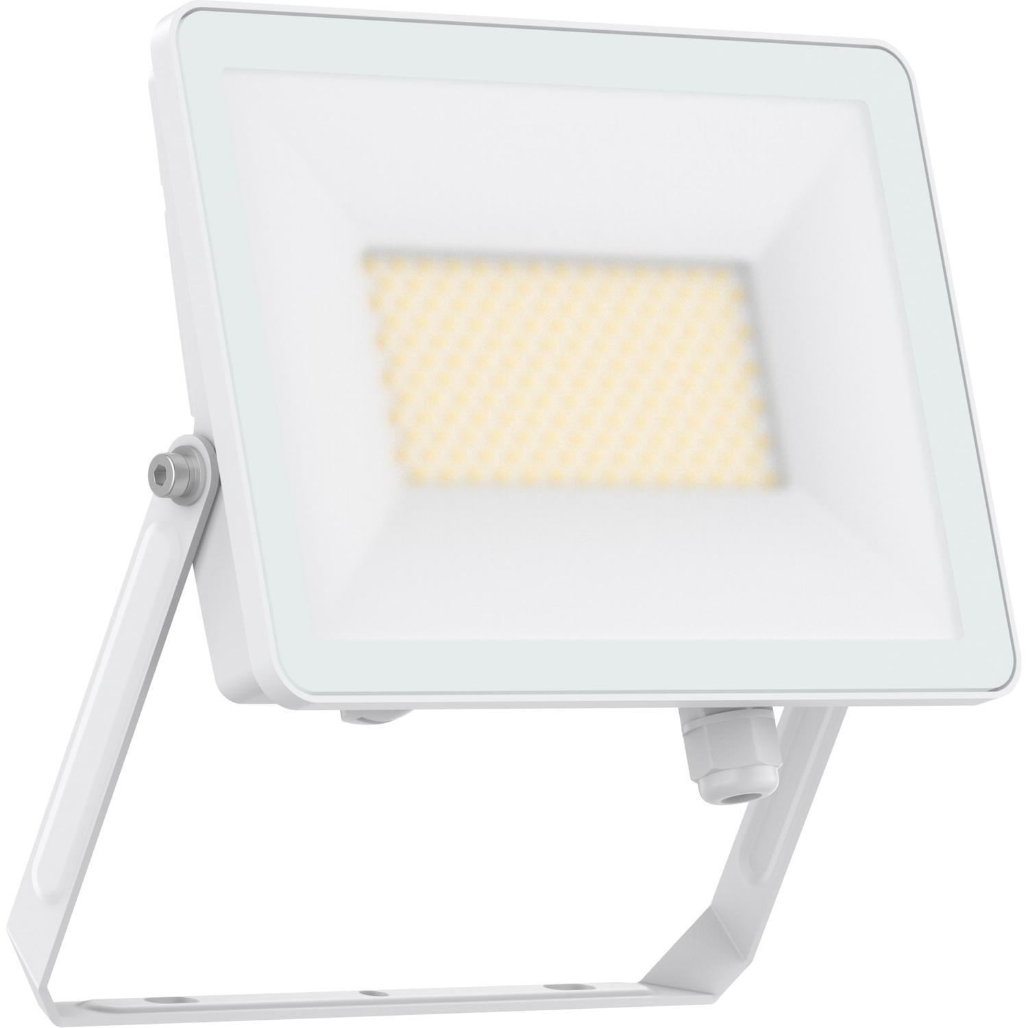 Residential Floodlight  50W White