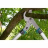 Pruning Lopper