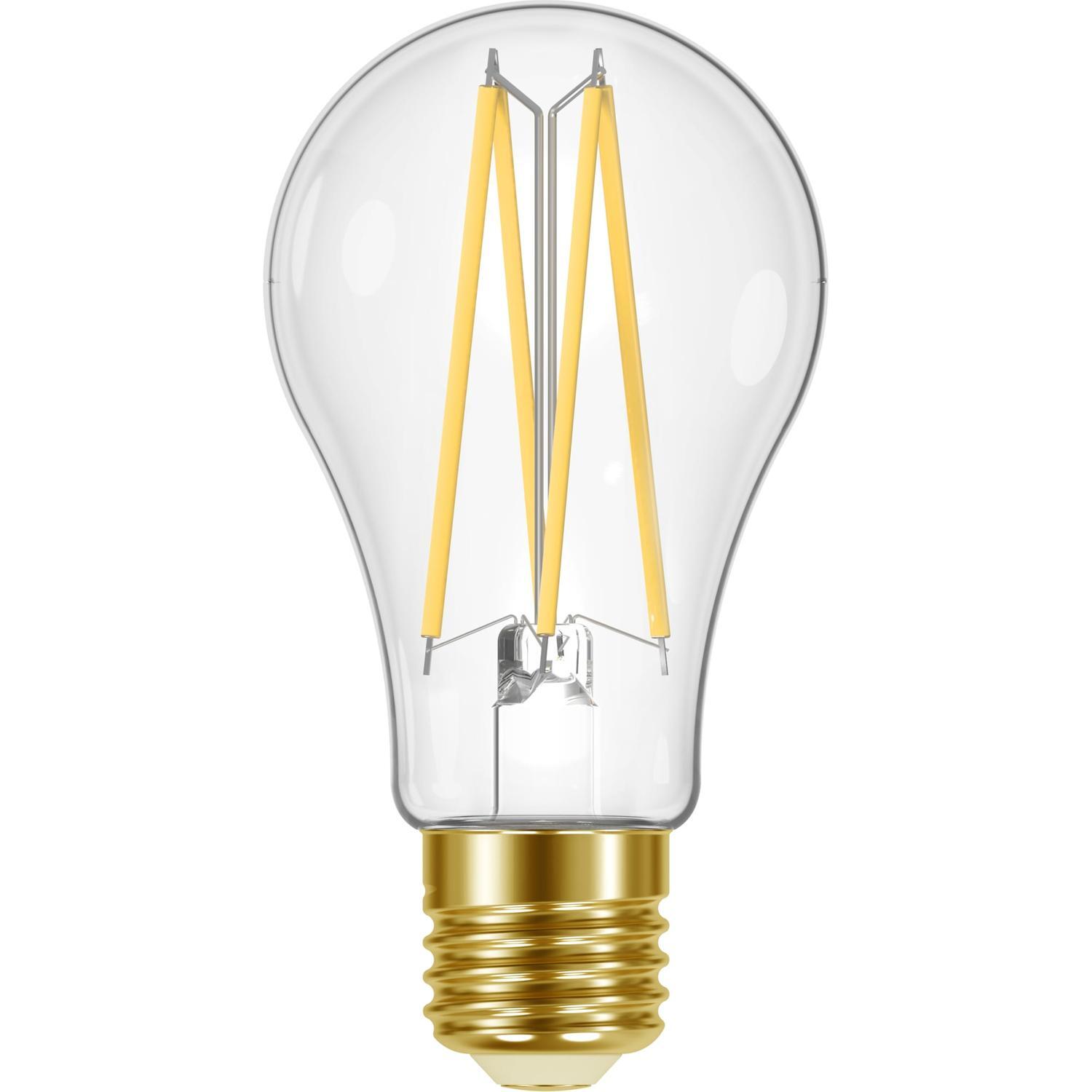LED Classic GLS Filament