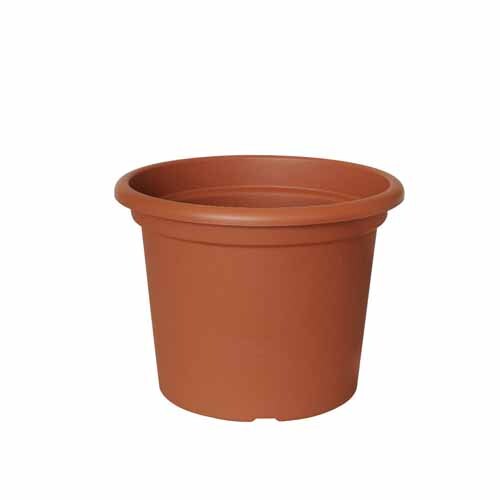 Geo Pot