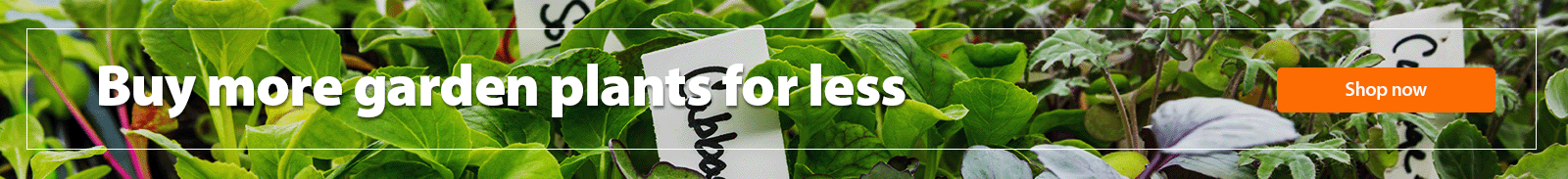 Buy more garden plants for less. Shop now.
