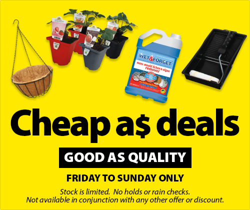Cheap as Deal Good Quality As 2026