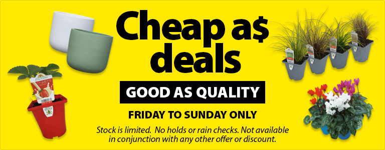 Cheap as Deal Good Quality As 2026