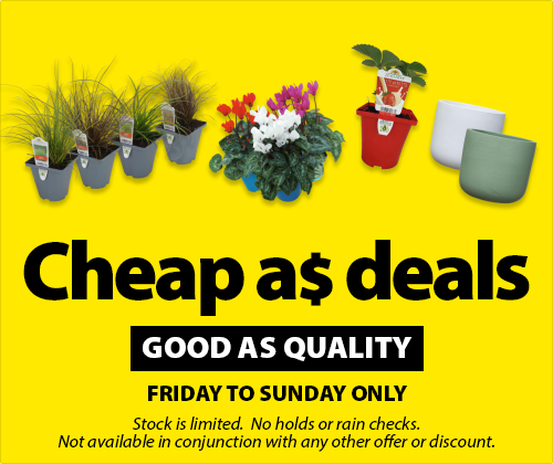 Cheap as Deal Good Quality As 2026